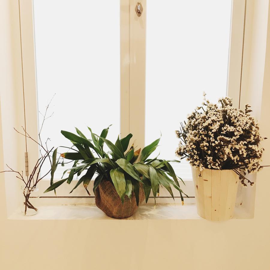 Supe Homestay TP. Hồ Chí Minh Ngoại thất bức ảnh